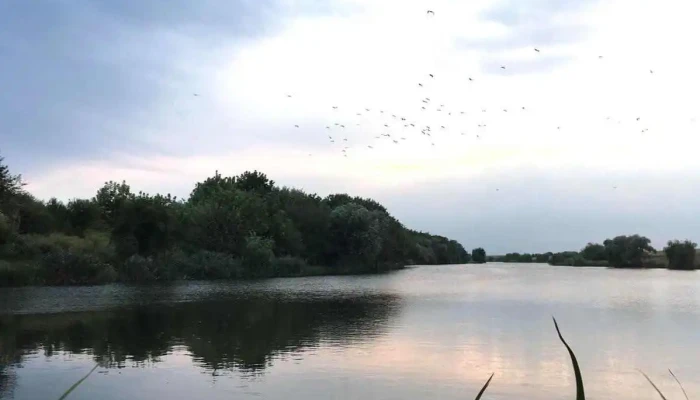 Maia -  Zonă - Maia