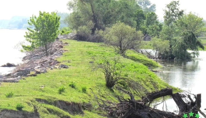 Maliuc -  Promoție - Maliuc
