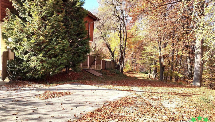 Malu Cu Flori -  Scor - Malu Cu Flori