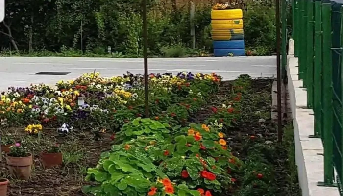 Malu Mare -  Adresă - Malu Mare