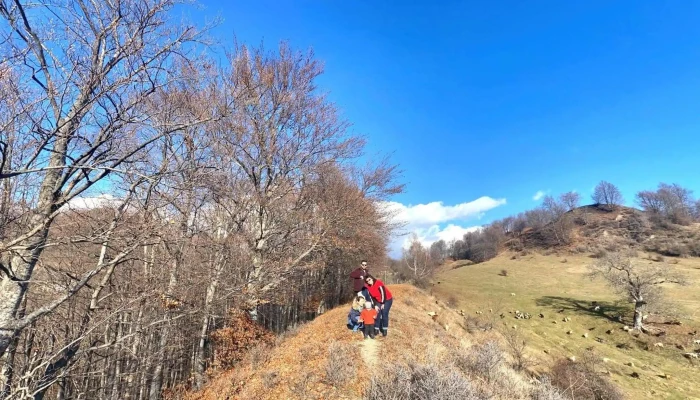 Malul De Rasuna Street View Si 360 - Bezdead