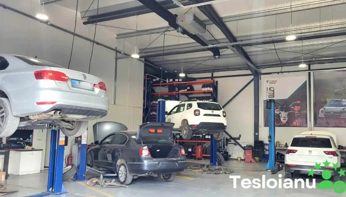 Mam Auto Service - Mogoșoaia 077135