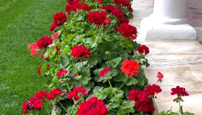 Manastirea Brancoveanu Promoție - Stațiunea Climaterică Sâmbăta