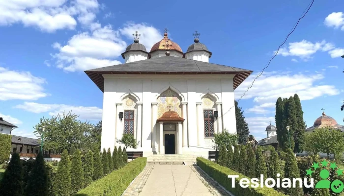 Manastirea Cernica De La Proprietar - Cernica