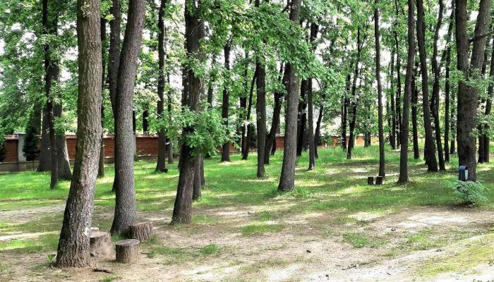 Manastirea Maglavit Număr - Drumul Mănăstirei