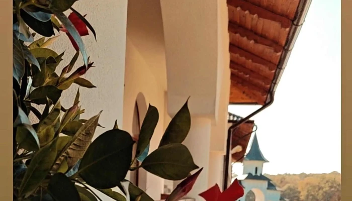 Manastirea Sihastria Dragomirnei Fotografii - Dragomirna