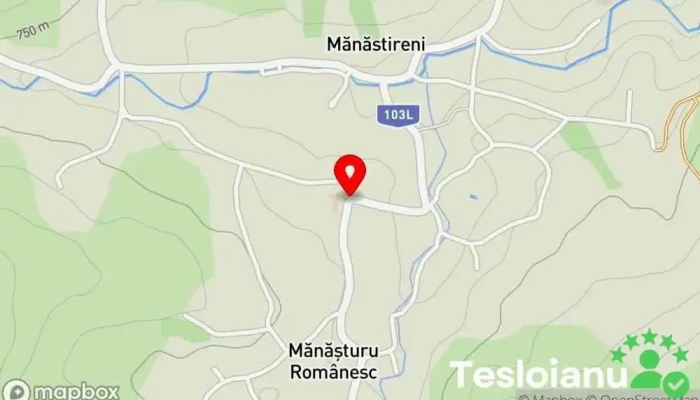 hartă a Mănăstireni  în Mănăstireni
