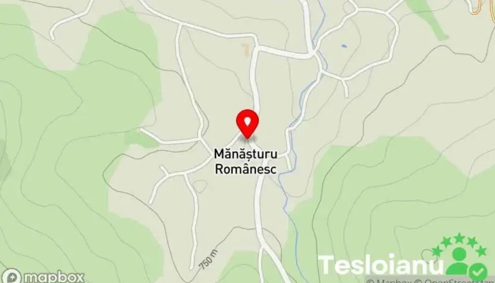 hartă a Mănășturu Românesc  în Mănășturu Românesc