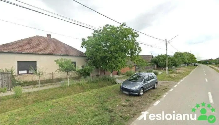 Manuel Service - România