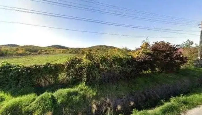 Maralex Auto -  Street View Si 360deg - Gorănești