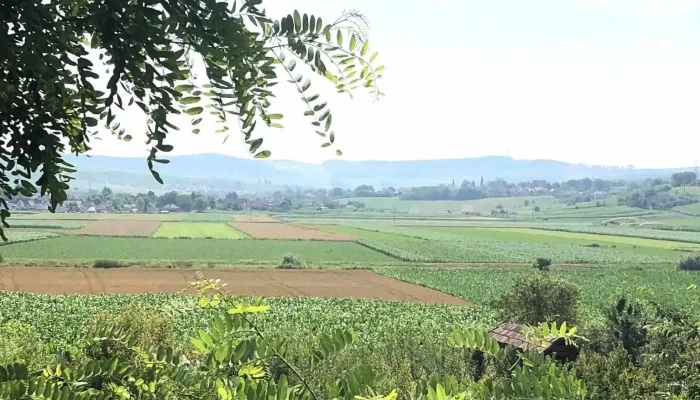 Marasesti Site Web - Mărăşeşti