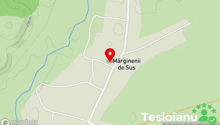 Marginenii de Sus - Marginenii De Sus