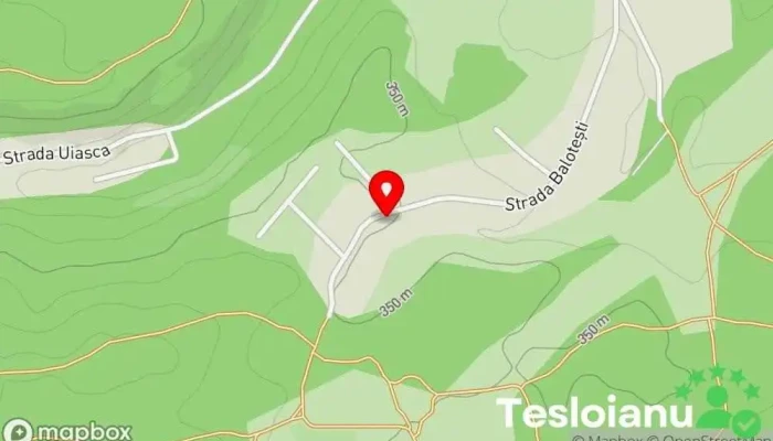 hartă a Mario Auto Exact SRL - Service Auto Service auto în Pitești