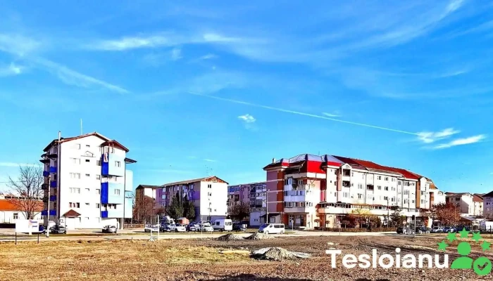 Marsa Comentarii - Mârșa