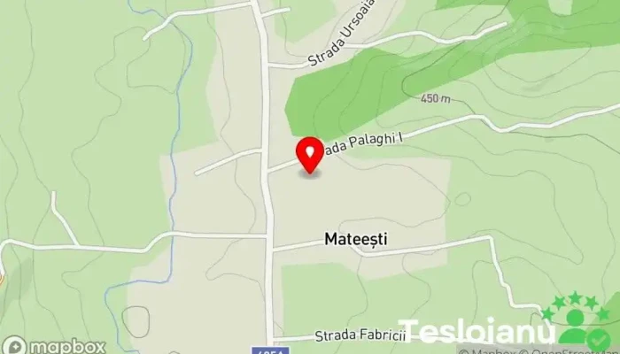 hartă a Mateești  în Mateești