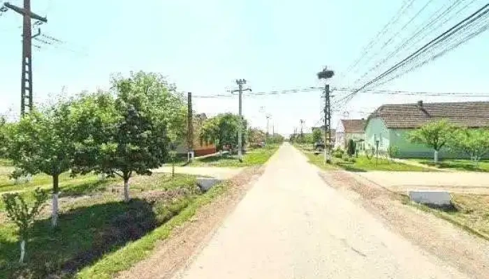 Materiale Constructii Becicherecu Mic -  Street View Si 360 - Becicherecu Mic