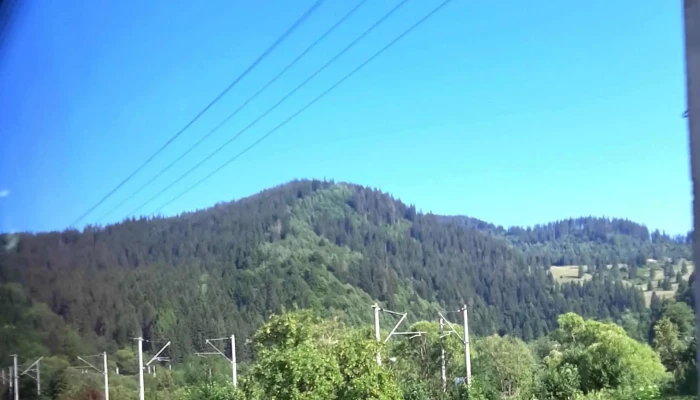 Maxitrans Company -  Aproape De Mine - Câmpulung Moldovenesc