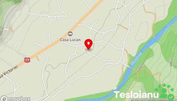 Mec costea - Vama