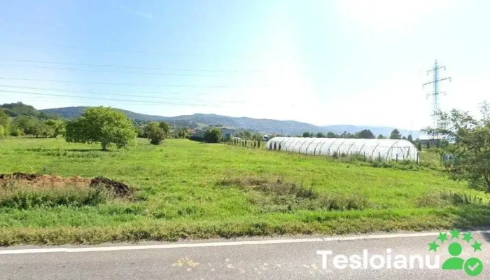 Mecanic auto Fanuț - Vermești 605200