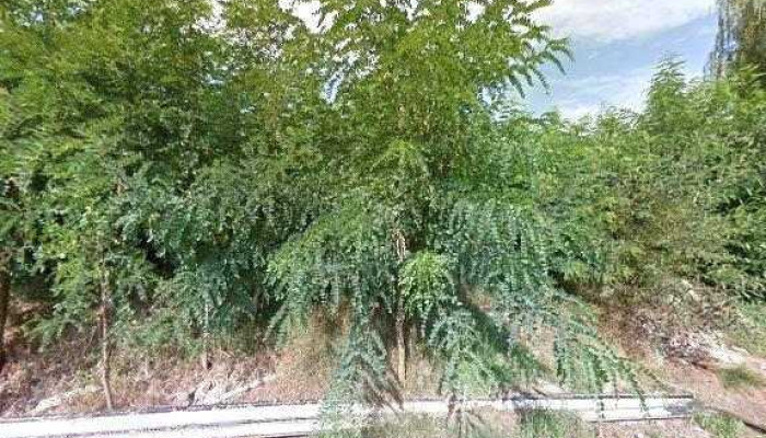 Mecsol Galda -  Street View Si 360deg - Galda De Jos