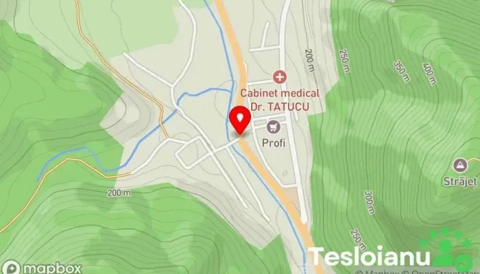 hartă a Mehadia  în Mehadia