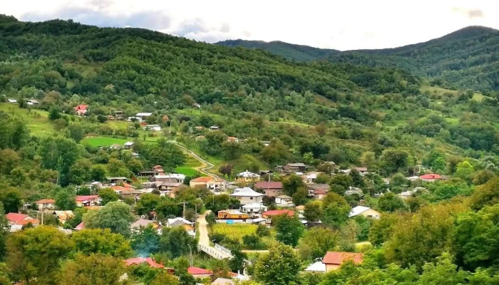 Mera -  Reduceri - Mera