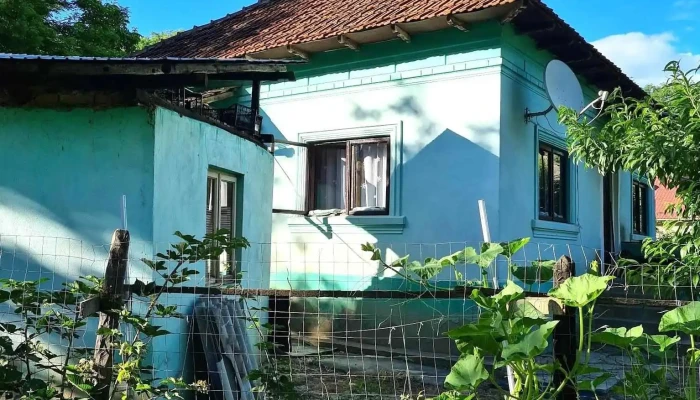 Merisani Prețuri - Merișani