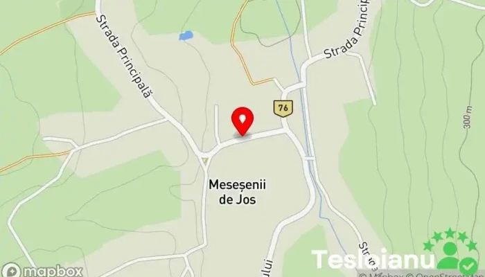 hartă a Meseșenii de Jos  în Meseșenii de Jos