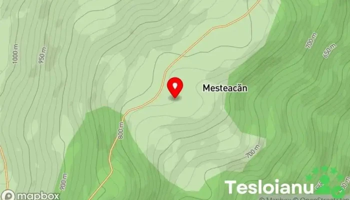 hartă a Mesteacăn  în Mesteacăn