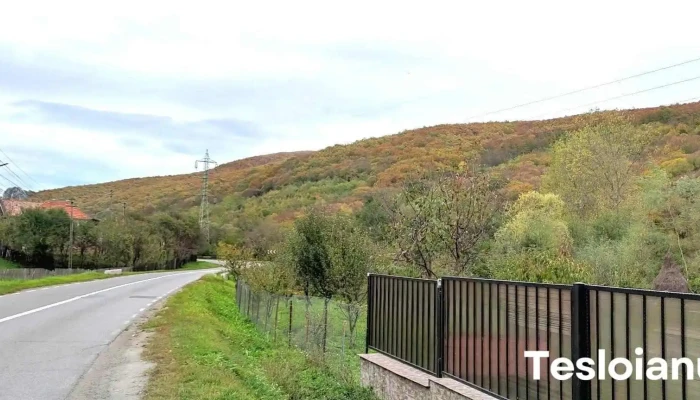 Meteș - Meteș