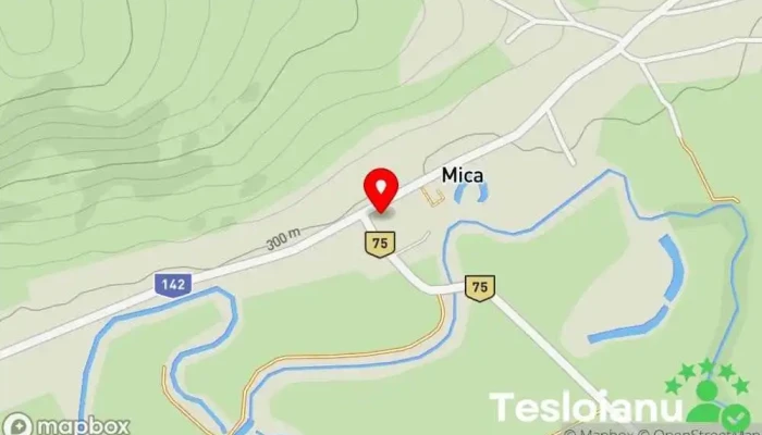 Mica - Mica