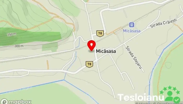 hartă a Micăsasa  în Micăsasa