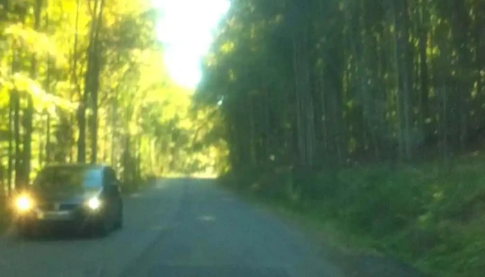 Micfalau Videoclipuri - Micfalău