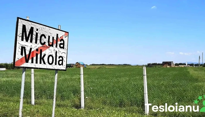 Micula -  Videoclipuri - Micula