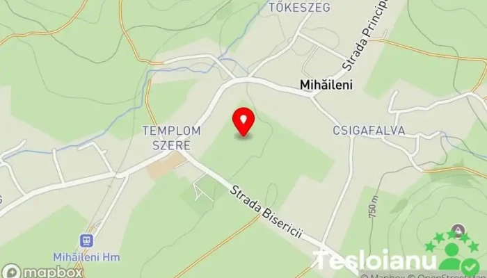 hartă a Mihăileni  în Mihăileni