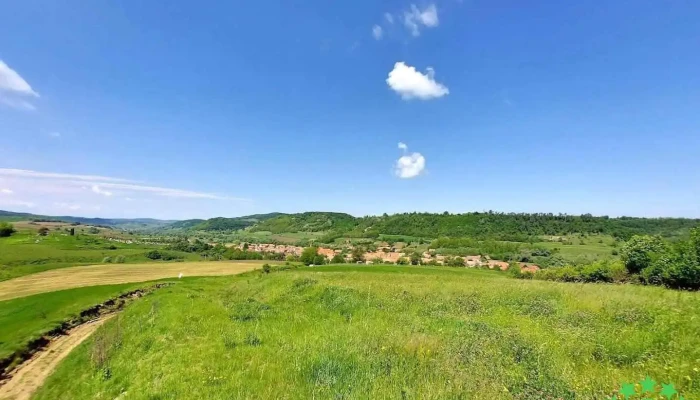 Mihaileni - Mihaileni
