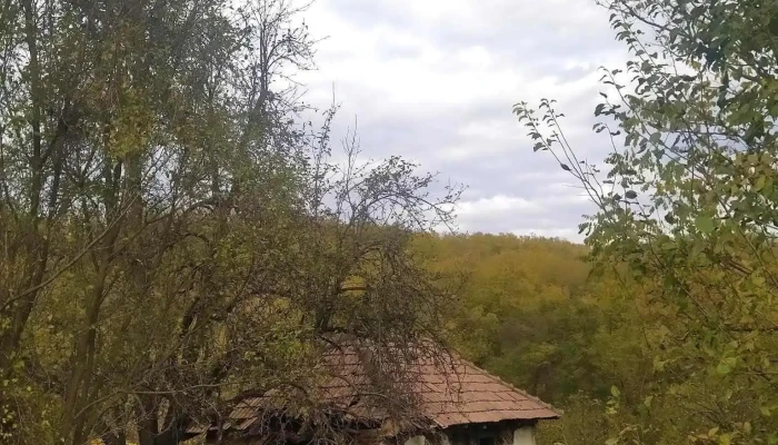 Milcoiu -  Promoție - Milcoiu