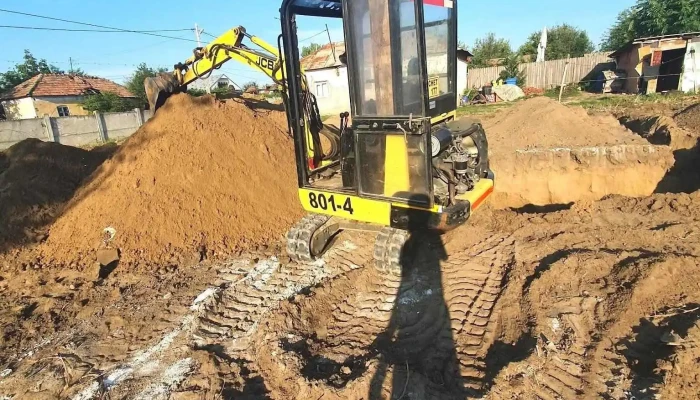 Mini Excavator Bechet - Bechet 207060
