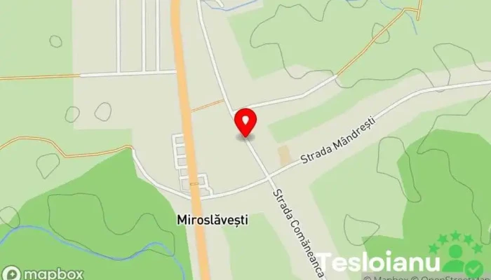 hartă a Miroslăvești  în Miroslăvești