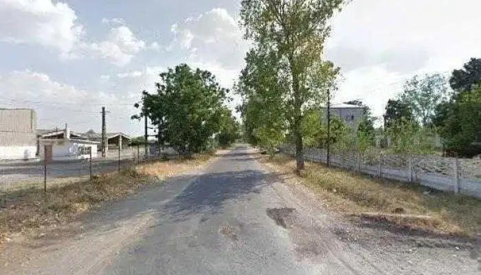 Mitliv Plenita -  Scor - Plenița