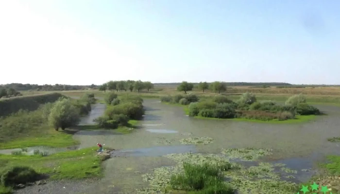 Mișca - Mișca