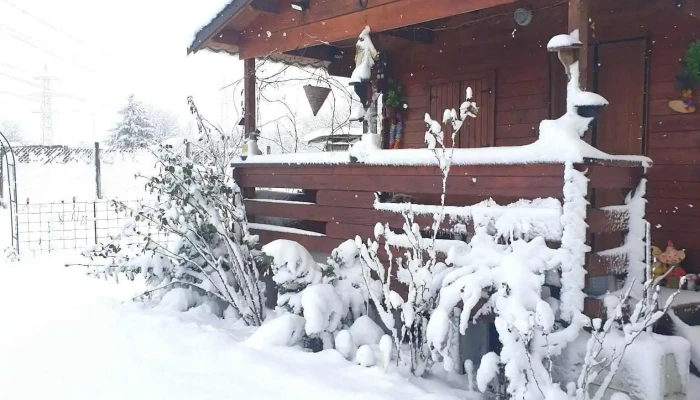 Mlecanesti Scor - Mlecănești