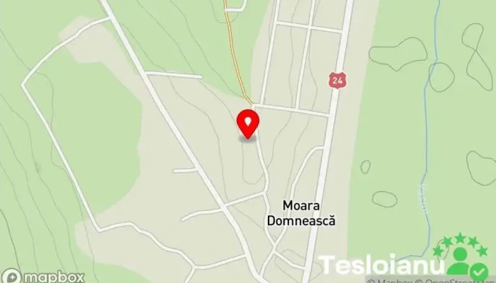 hartă a Moara Domnească  în Moara Domnească