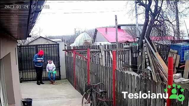 Modelu -  Videoclipuri - Modelu