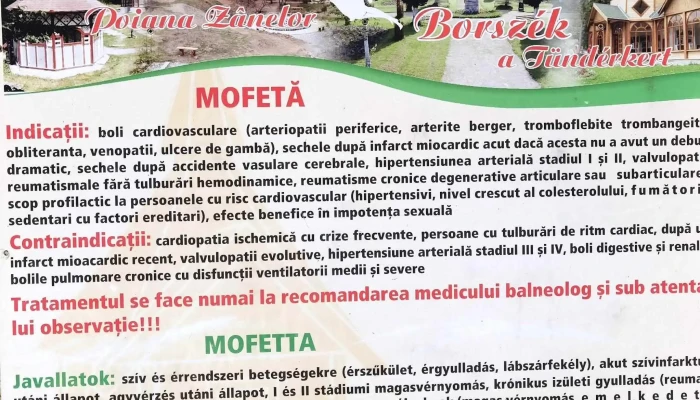 Mofeta Borsec Borsec - Borsec