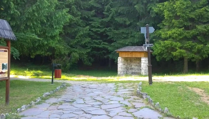 Mofeta Borsec Telefon - Borsec