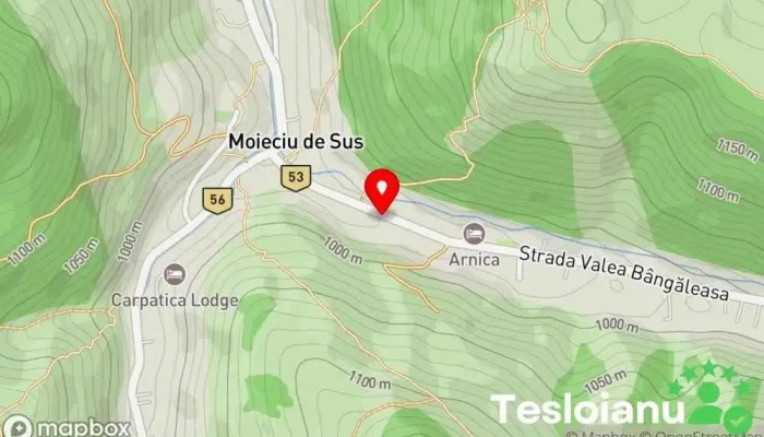 hartă a Moieciu de Sus  în Moieciu de Sus