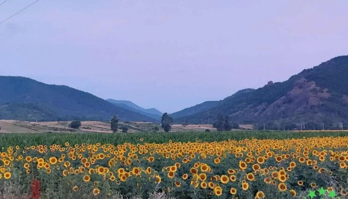 Moldovenești - Moldovenești