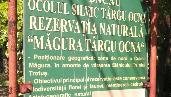 Monumentul Eroilor De Pe Dealul Magura Recenzii - Târgu Ocna