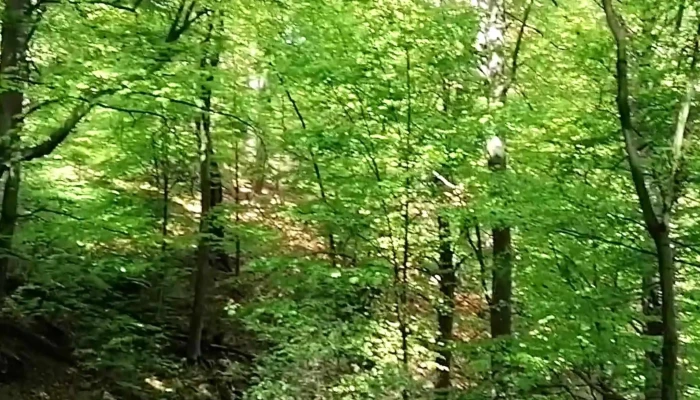 Monumentul Eroilor De Pe Dealul Magura Targu Ocna - Târgu Ocna